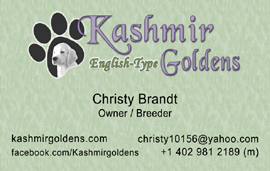 Business Cards