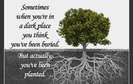 Inspirational Posters