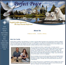 Perfect Peace Goldens