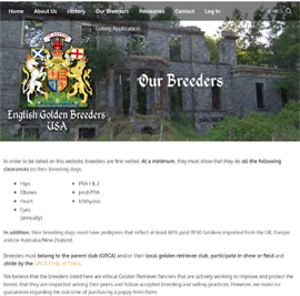 English Golden Breeders USA