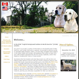 English Goldens in North America