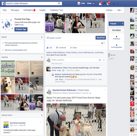Social Networking Frameworks